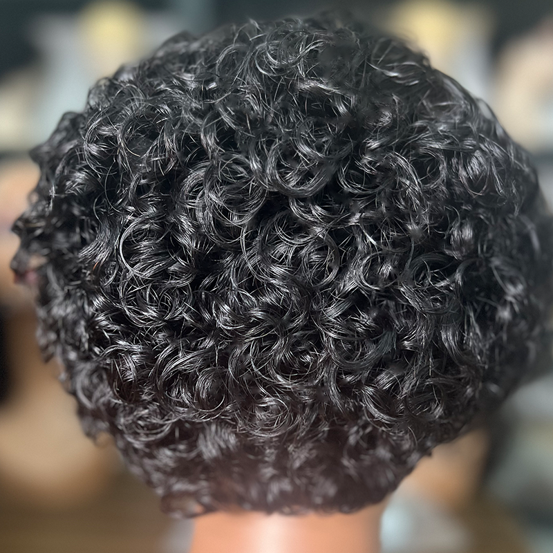T Part 100% Human Hair Pixie Wigs SHort Sidepiece Wigs for Wholesale